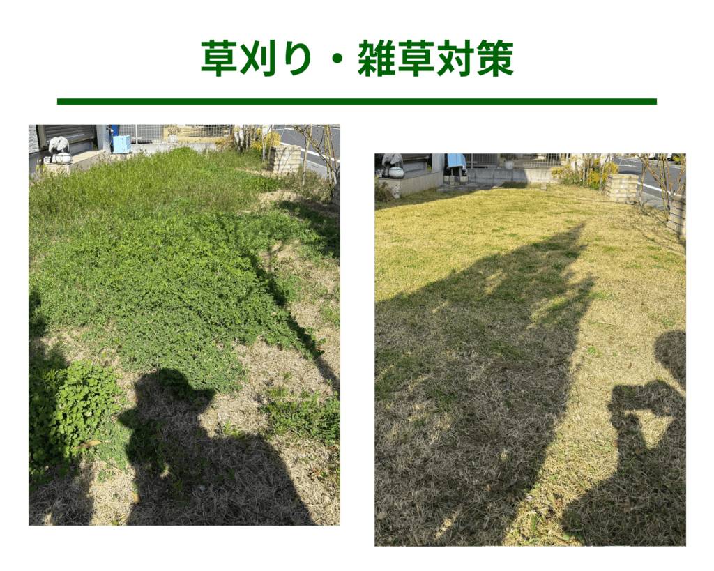 刈り込み仕上がり