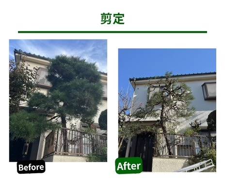 刈り込み作業中
