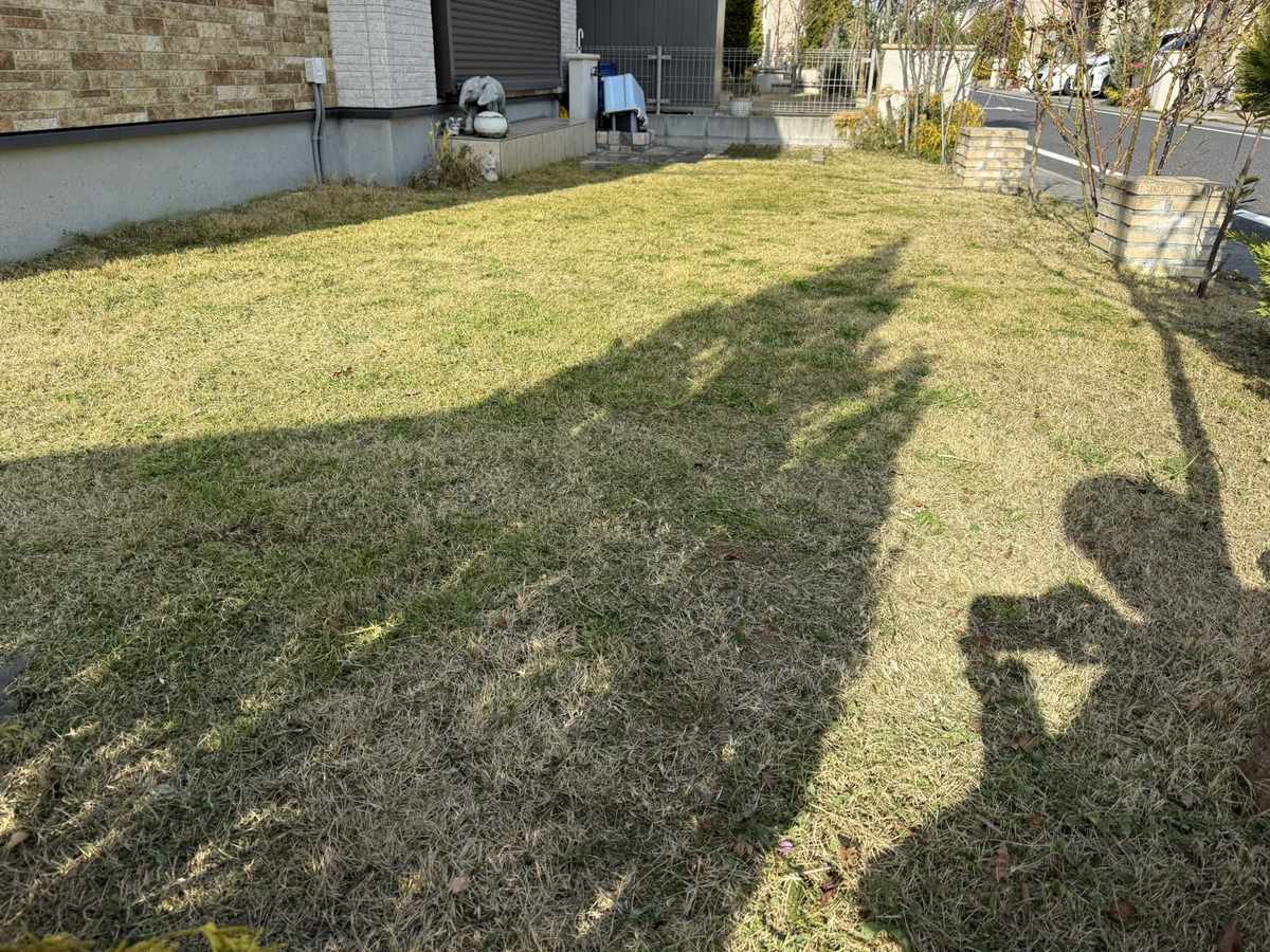 さいたま市 芝の草刈り